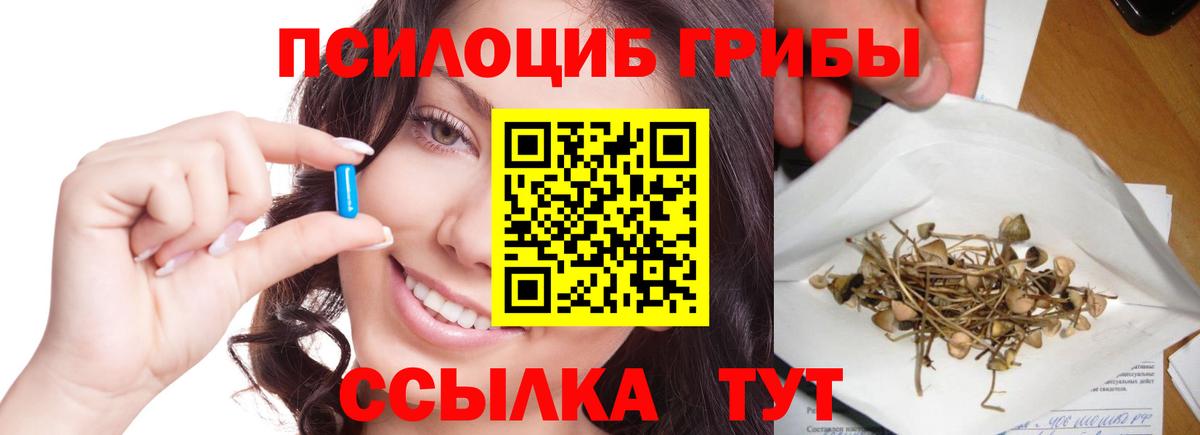 Псилоцибиновые грибы Psilocybe  Вход с VPN  Псилоцибиновые грибы GOLDEN TEACHER  Ставрополь 